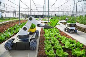 Robot Harvester